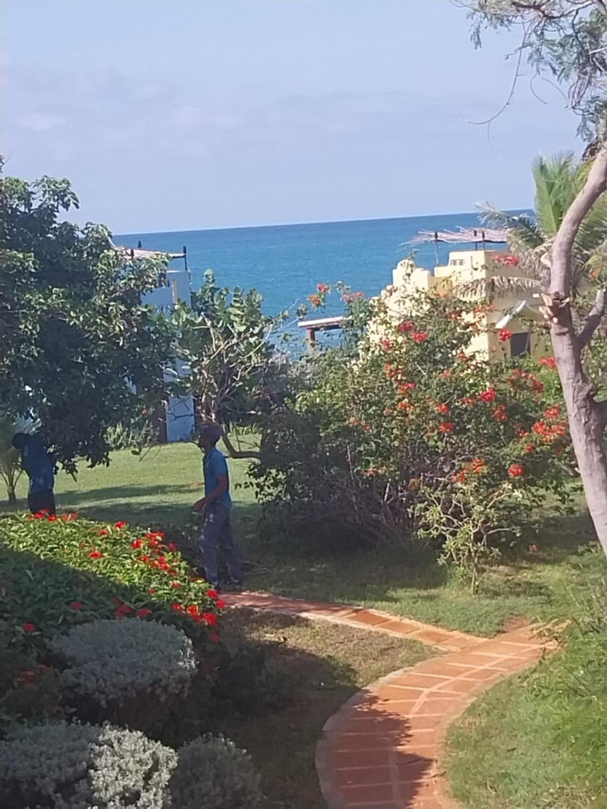 Brytan Villa Treasure Beach Exteriör bild